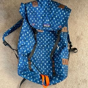 Patagonia backpacking bag